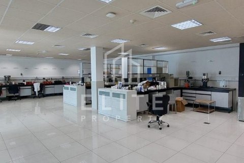 Usine à Dubai, 8406 m², № 42263 - photo 7