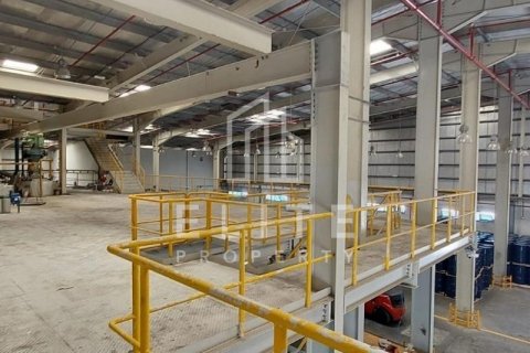 Usine à Dubai, 8406 m², № 42263 - photo 12