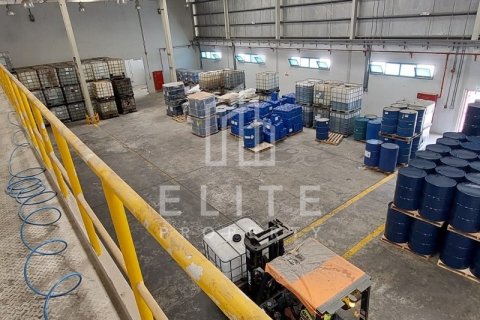 Usine à Dubai, 8406 m², № 42263 - photo 15