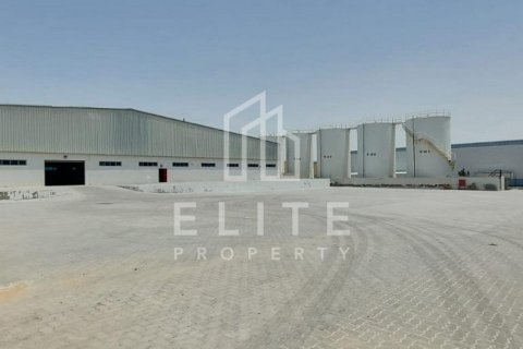 Usine à Dubai, 8406 m², № 42263 - photo 23